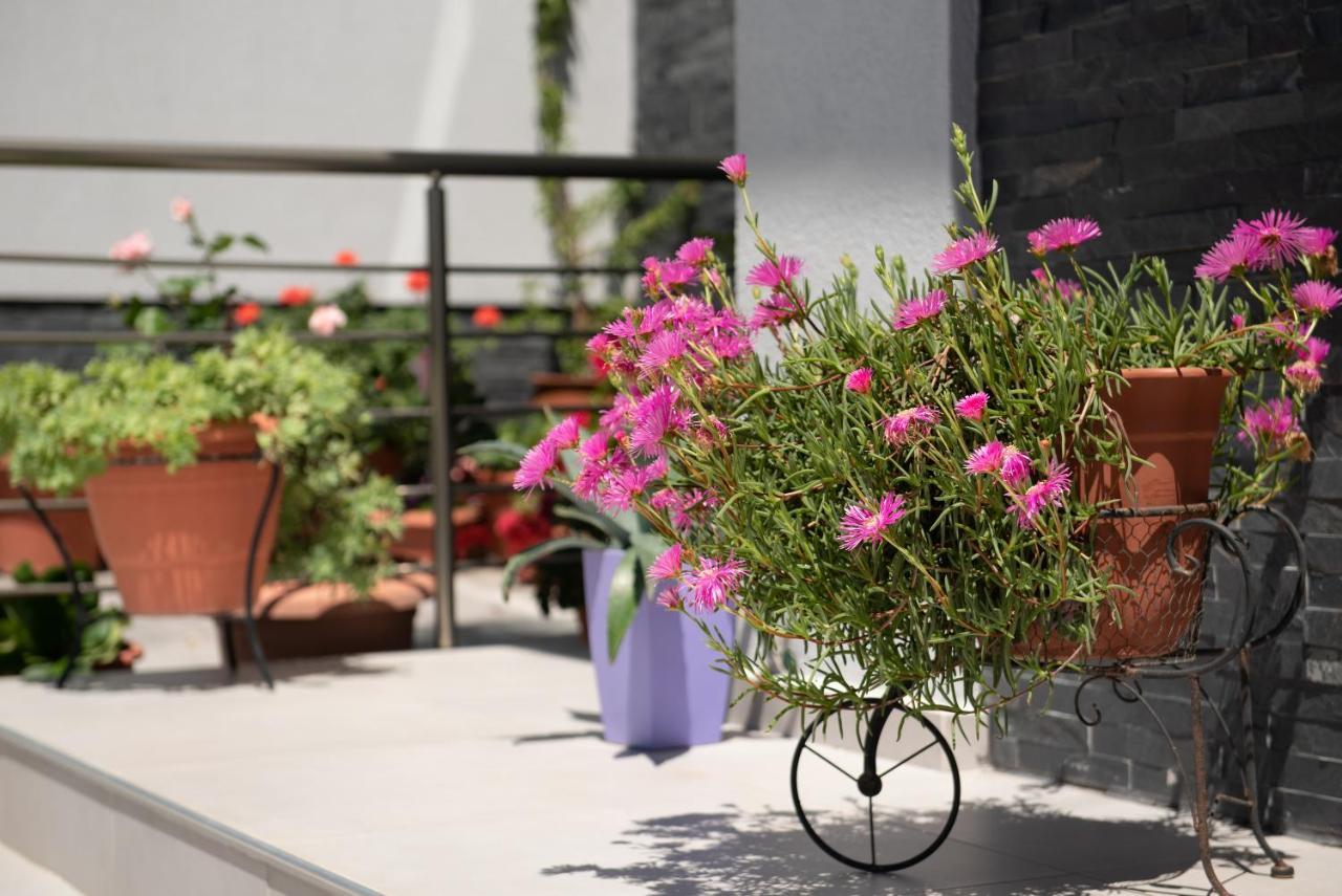 Almare Seaside Studios & Suites - Sarti Sithonia 외부 사진